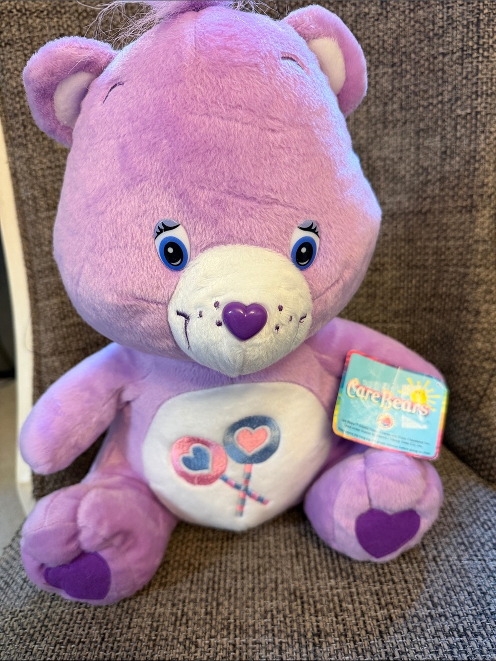Care Bears Share Bear 2003 Plush 16”